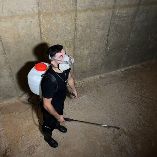 תמונה של WhatsApp‏ 2023-11-20 בשעה 13.21.44_af6b162a